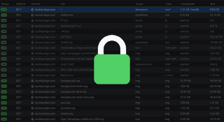 Cover Image for an Article Titled Computer Networks: HTTPS Basics